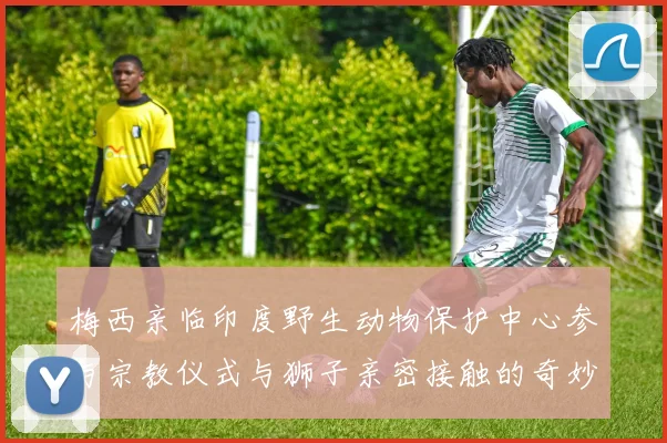 梅西亲临印度野生动物保护中心参与宗教仪式与狮子亲密接触的奇妙体验