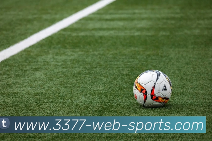 3377体育APP 封面图